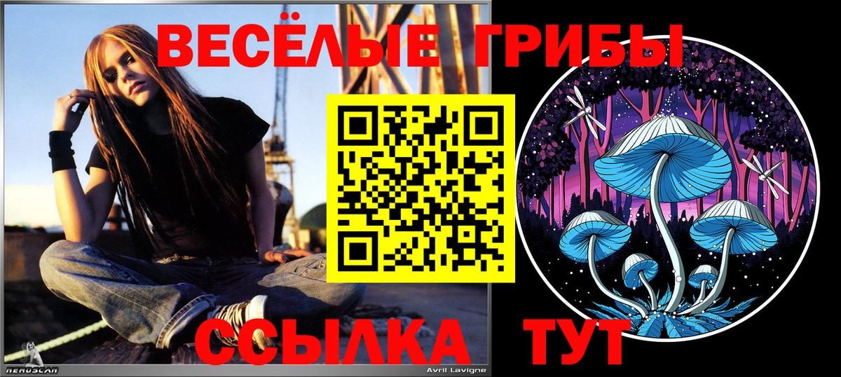 Псилоцибиновые грибы прущие грибы Муром