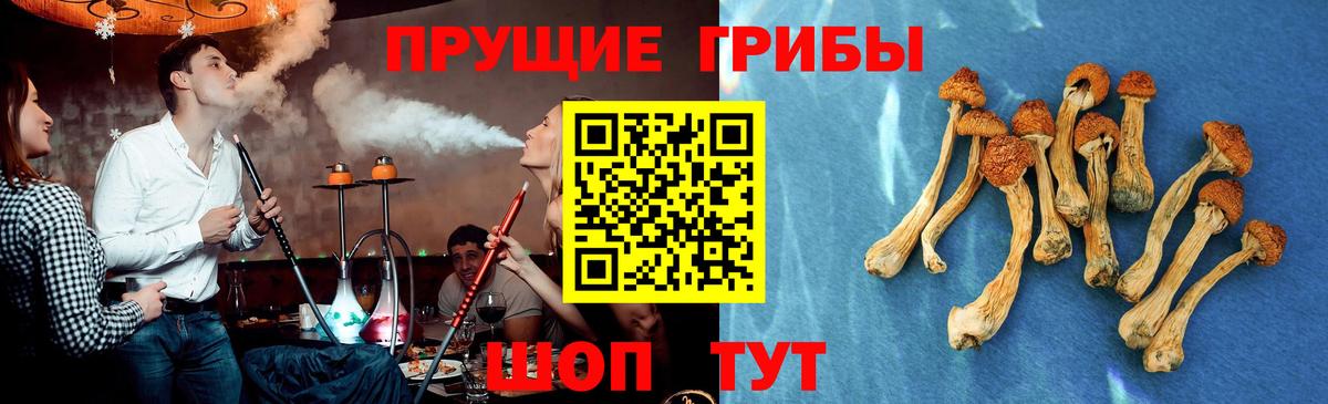 Галлюциногенные грибы GOLDEN TEACHER  Псилоцибиновые грибы Magic Shrooms  Муром  Вход с VPN 